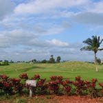 Caribbean-golf