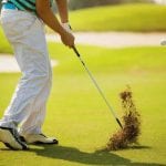 World Golf Hall of Fame Class of 2019 New Members. Image courtesy Shutterstock.