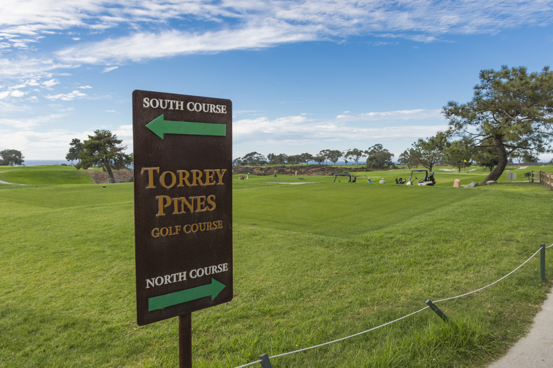 torrey pines