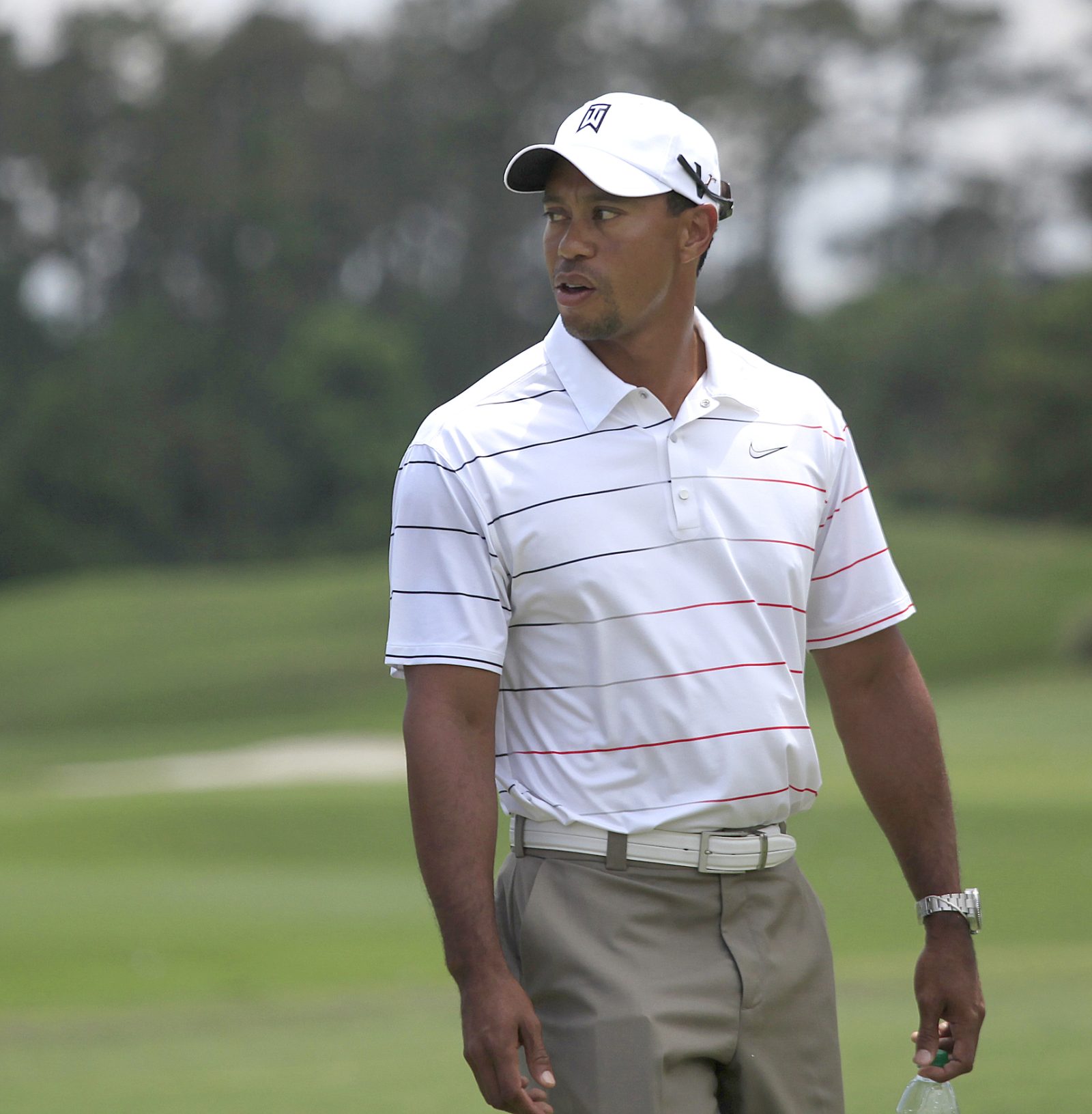 tiger woods