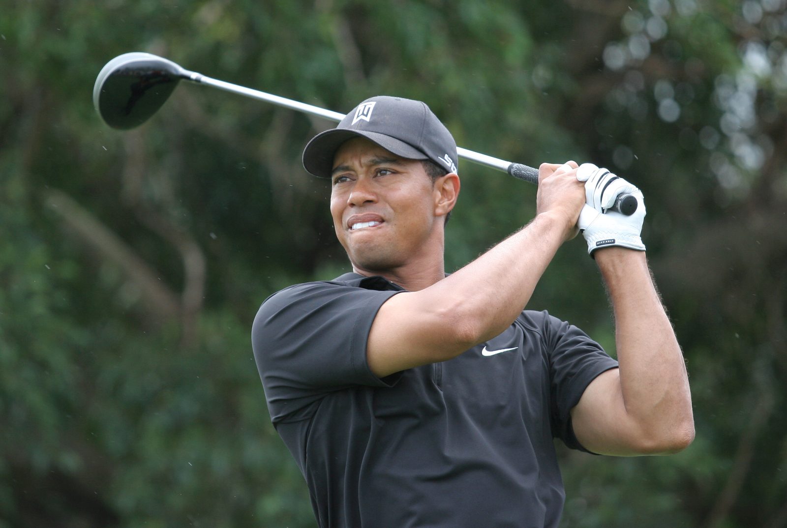tiger woods