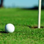 Seamus Power Boosts Ryder Cup Chances Following Victory at Bermuda Championship
