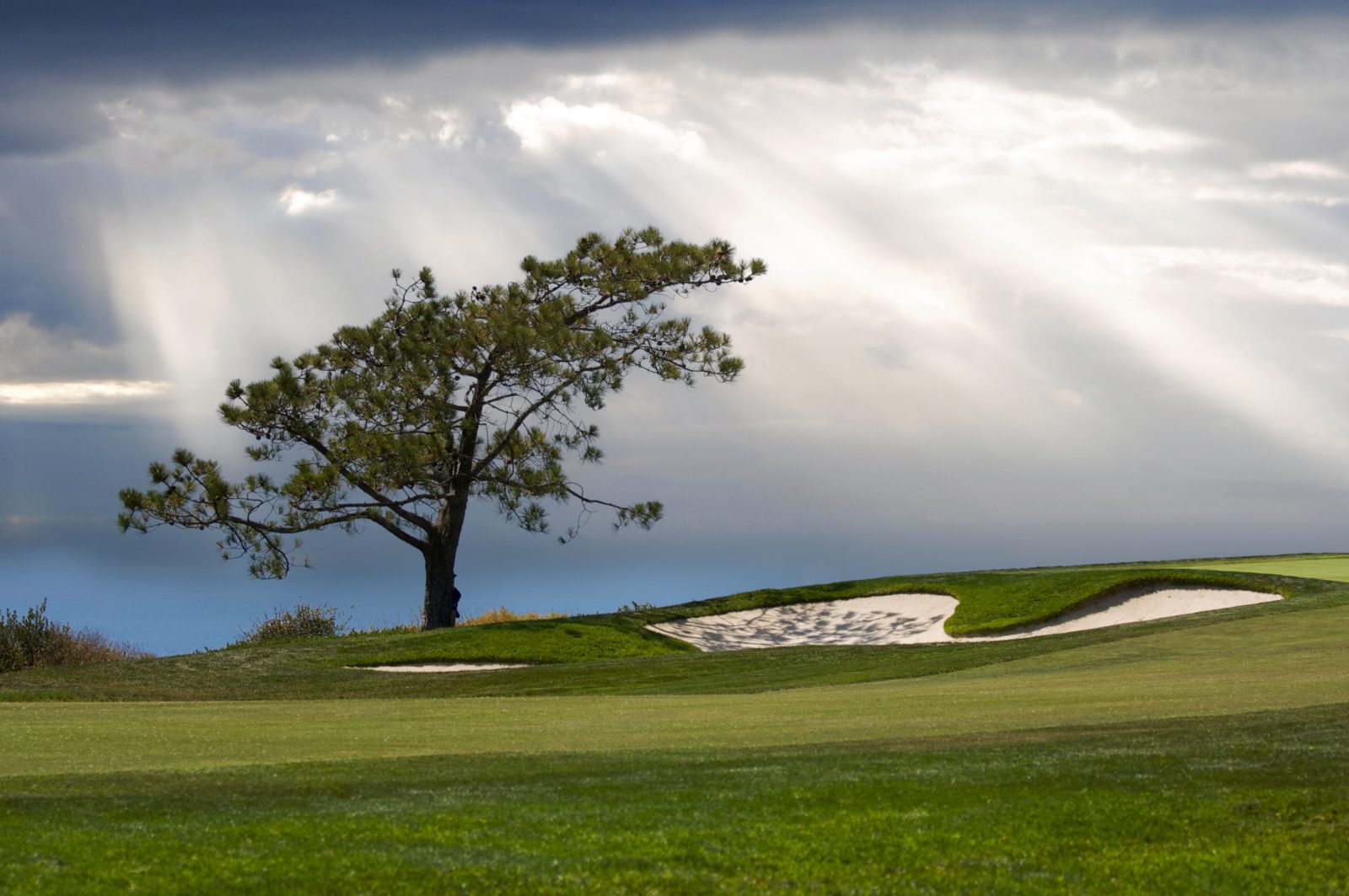 Tournament Preview: Farmers Insurance Open