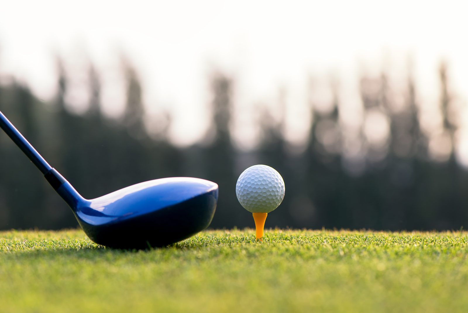 Sam Burns Comes Out On Top at WGC-Dell Technologies Match Play