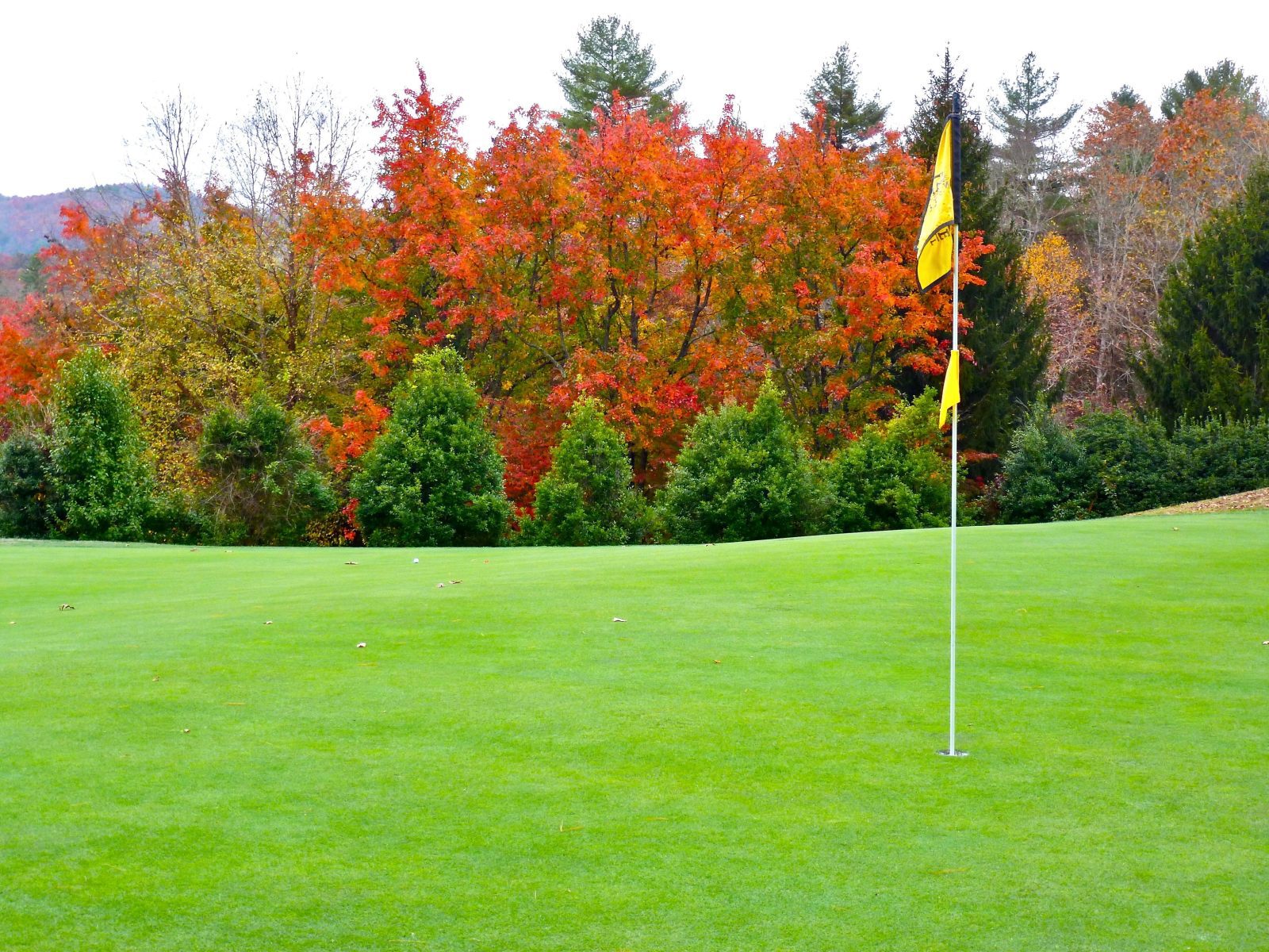 All You Need to Know About the Wells Fargo Championship (May 4-7, 2023)