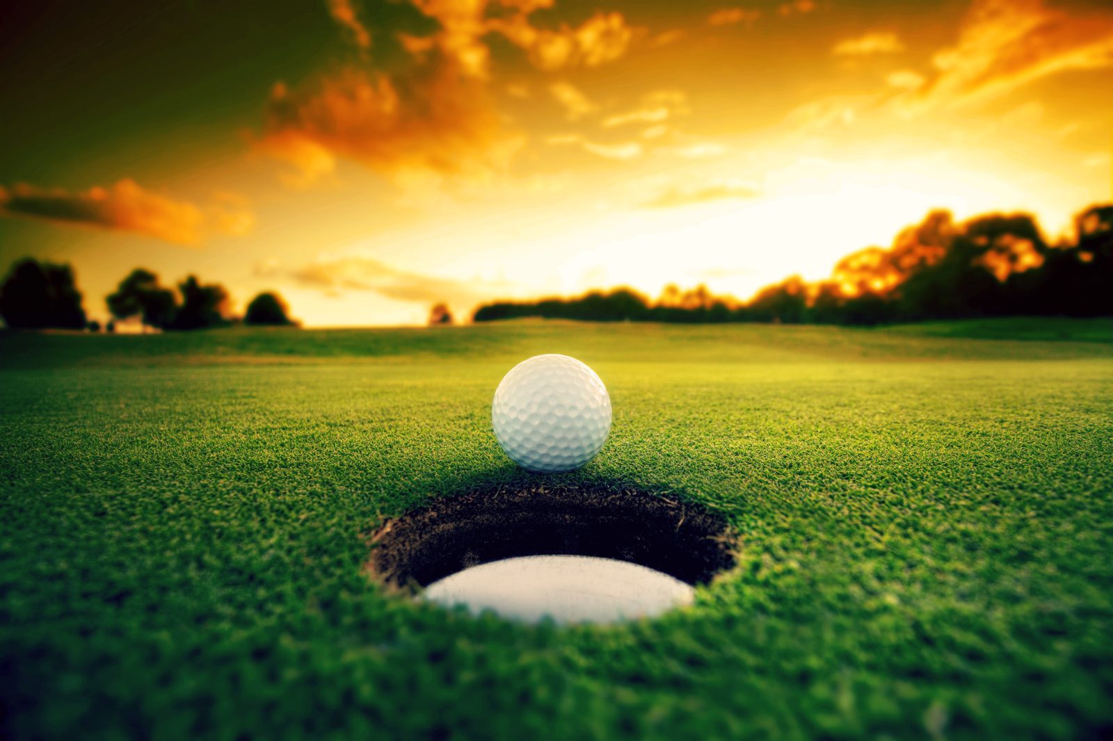 Dale Whitnell Secures First DP World Tour Victory