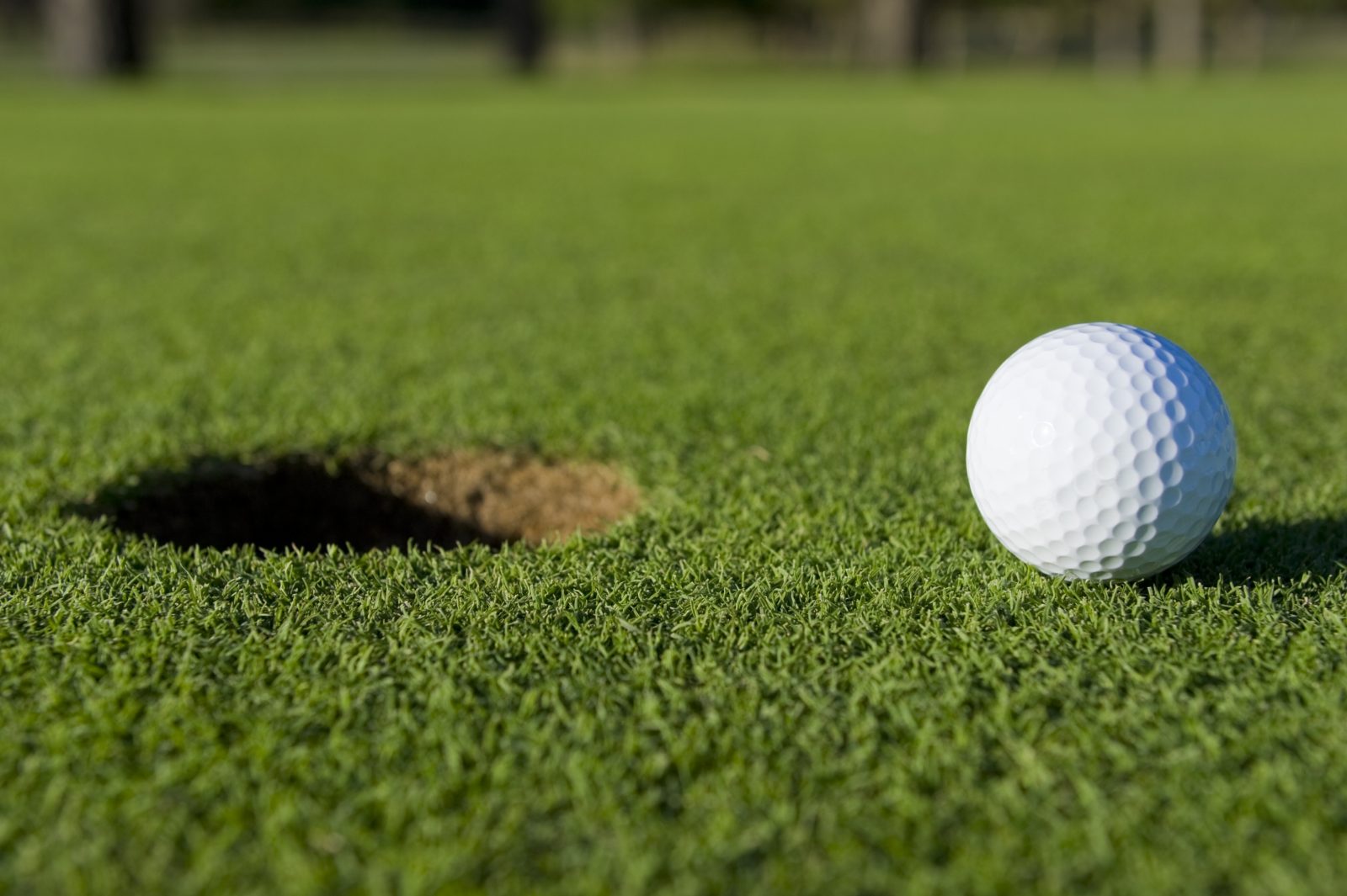 Dan Brown and Alexa Pano Earn Victories at ISPS Handa World Invitational