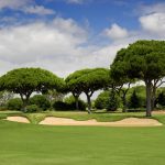 Golf's Impact on the Environment