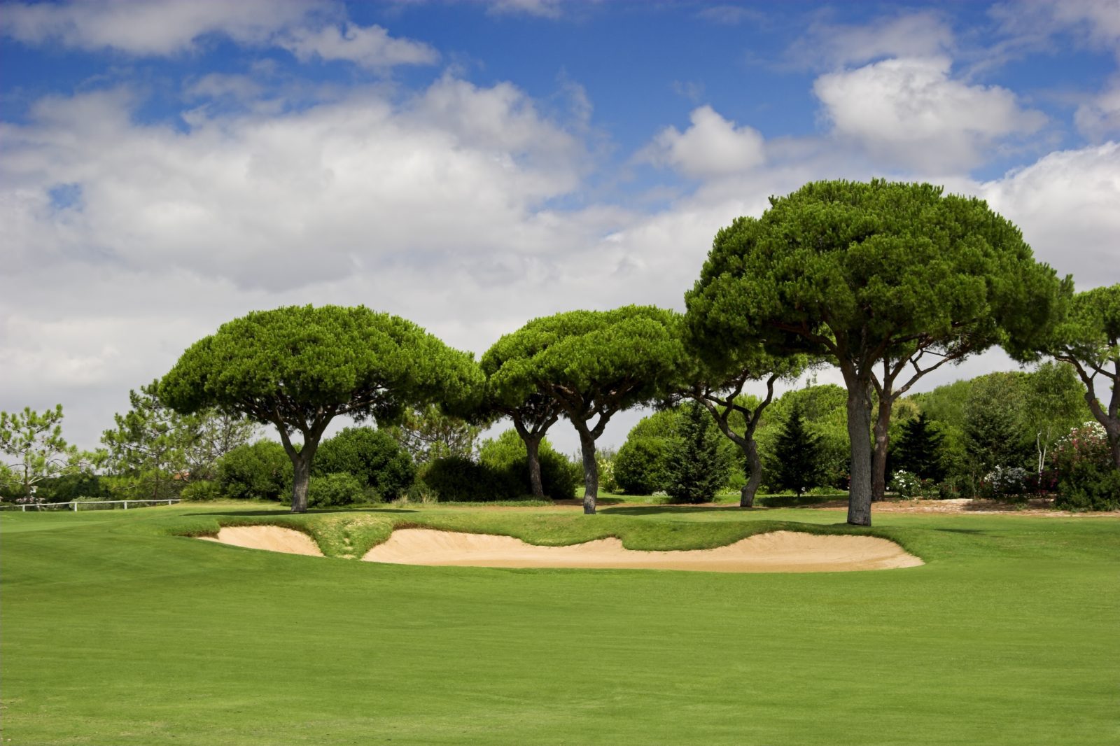 Golf's Impact on the Environment