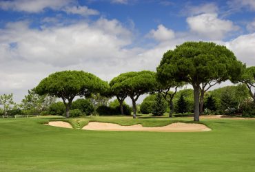 Golf's Impact on the Environment