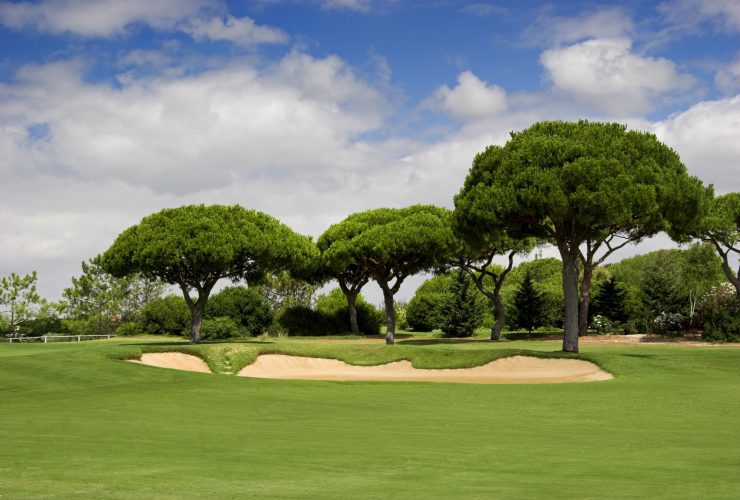 Golf's Impact on the Environment