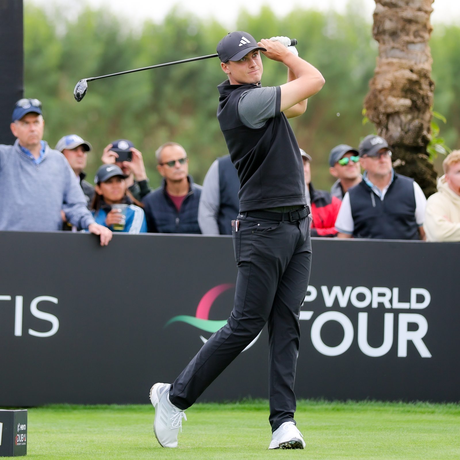Ludvig Aberg Wins European Masters to Boost Ryder Cup Hopes