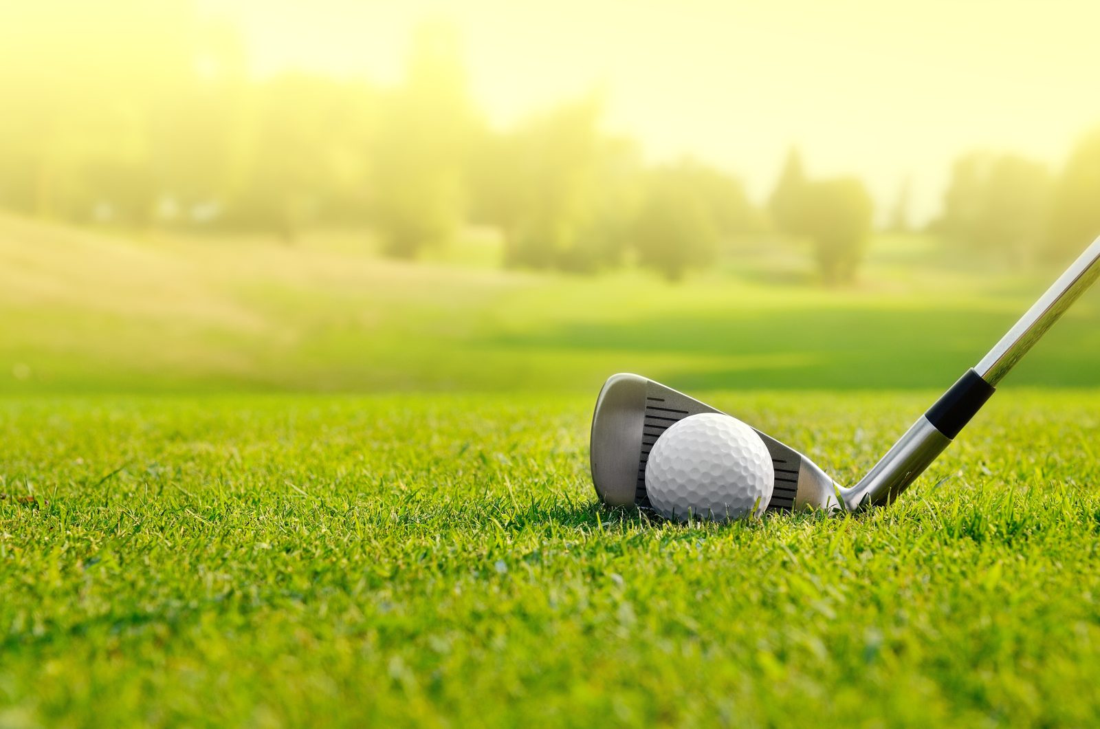 Best Golf Chippers in 2023