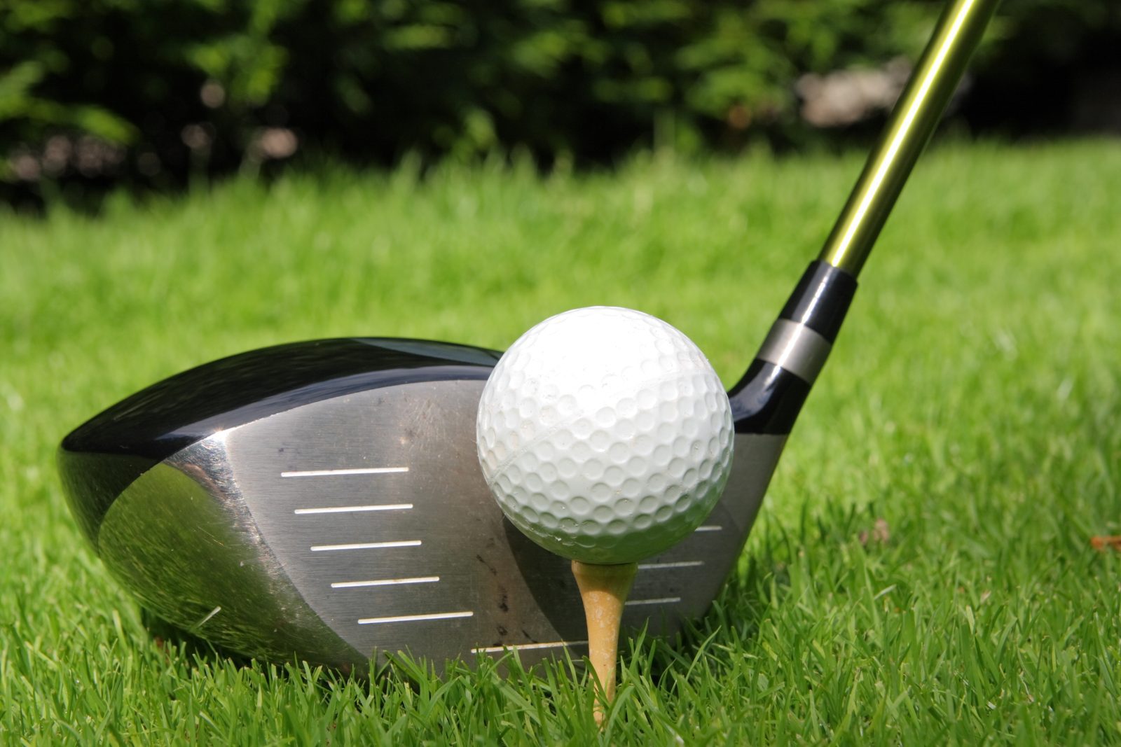 Best New Golf Drivers of 2024