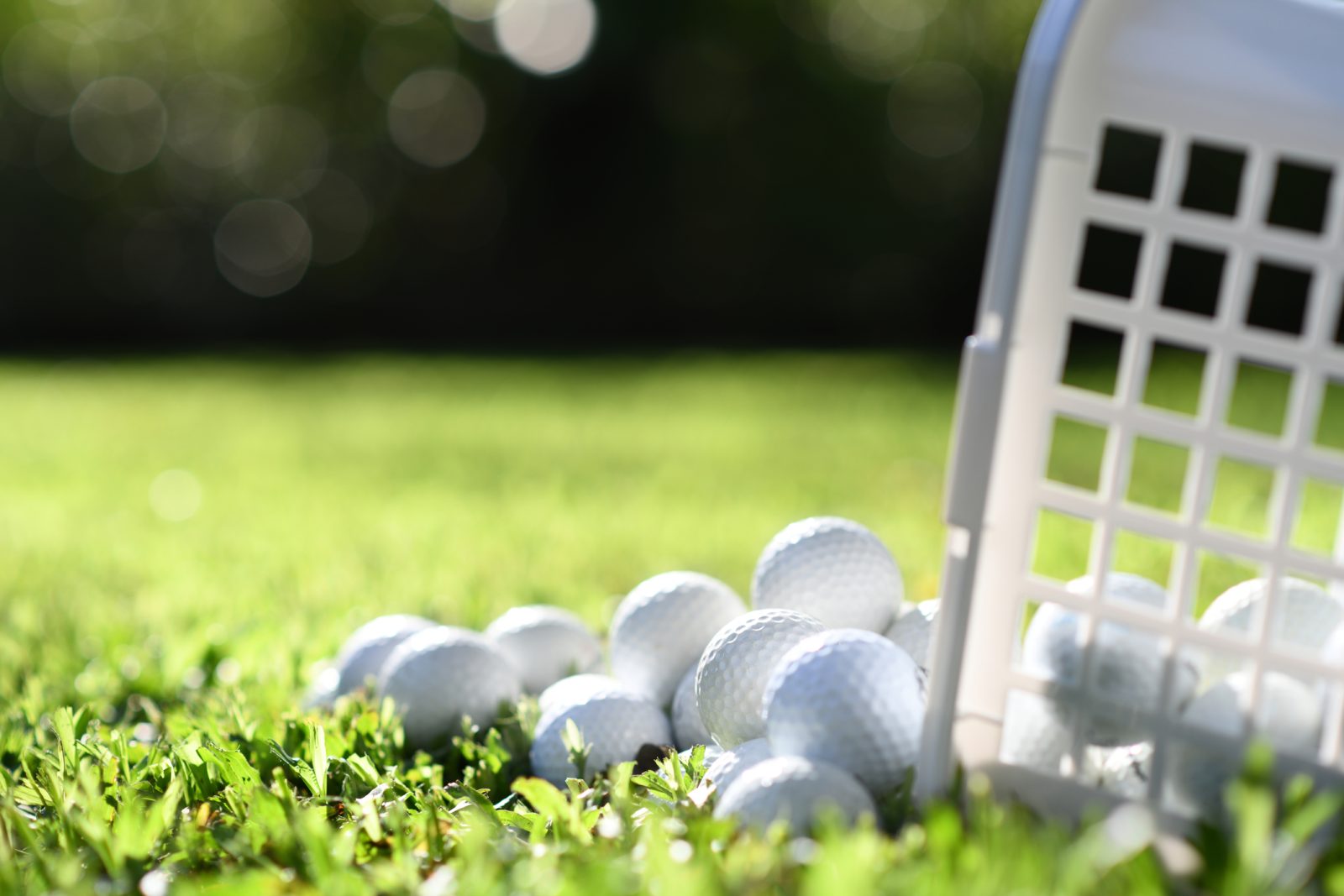 Breaking Down the Science of Golf Balls: What's Inside?