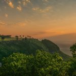 Play Your Ultimate Golf Vacation at McLemore Resort