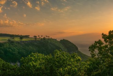 Play Your Ultimate Golf Vacation at McLemore Resort
