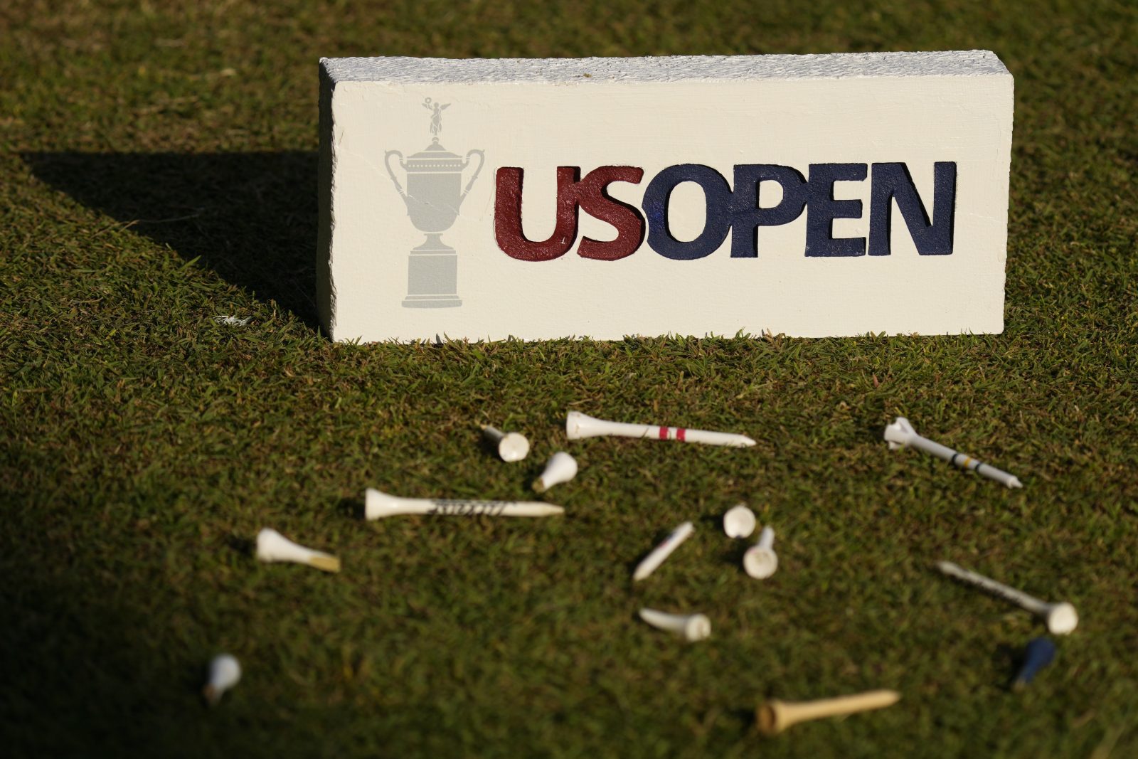 How Much Does it Cost to Go to a Top Golf Event?