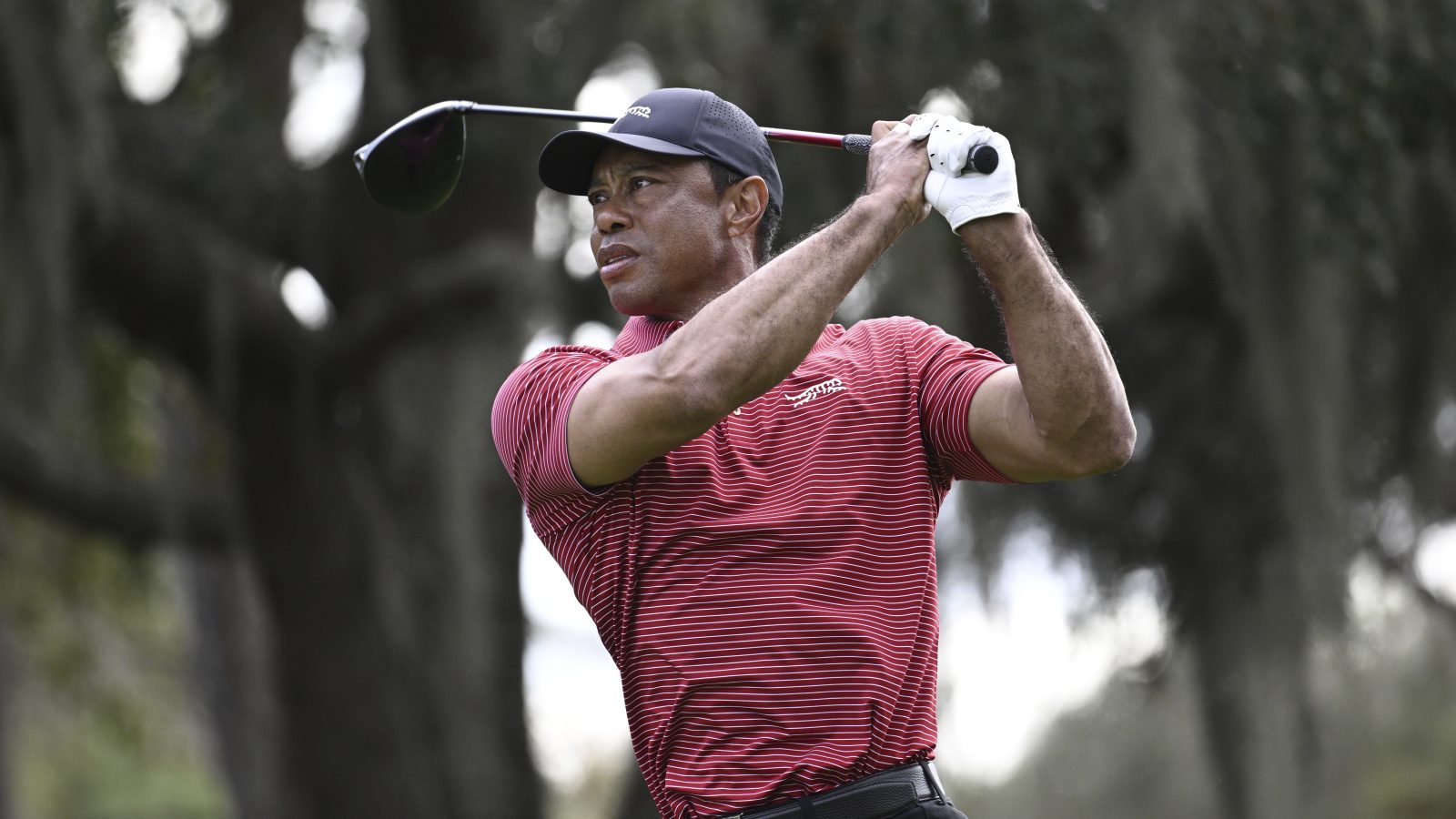 Will Tiger Woods Win Again?