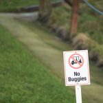 A Guide to the Strangest Rules in Golf