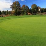How Big or Small Can a Golf Green Be?