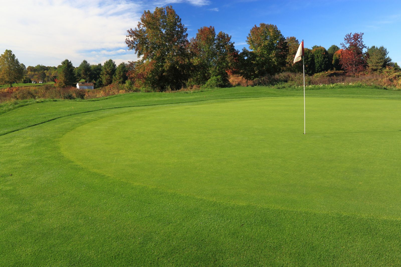 How Big or Small Can a Golf Green Be?