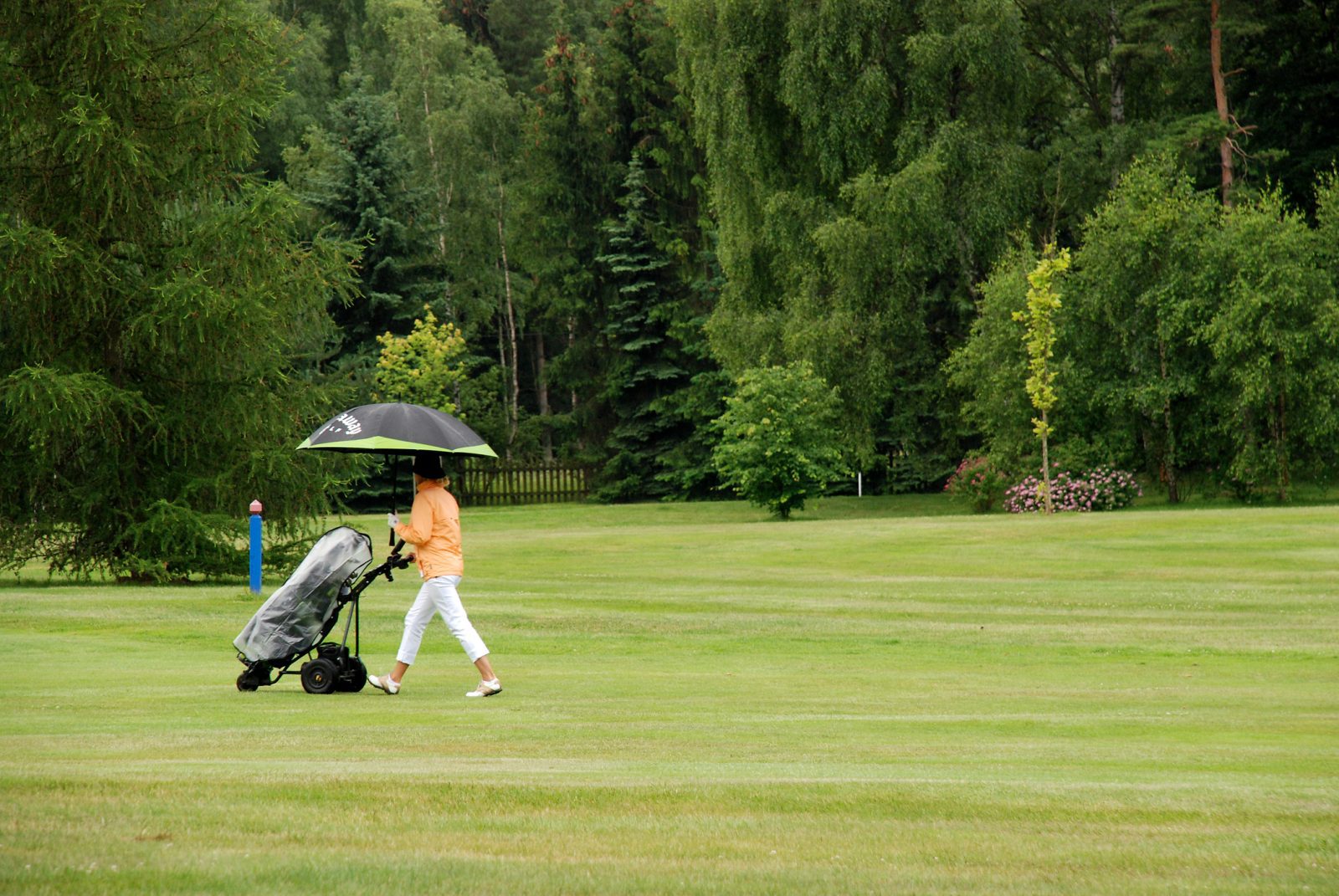 Dangerous Weather Cancels LPGA’s Walmart NW Arkansas Championship