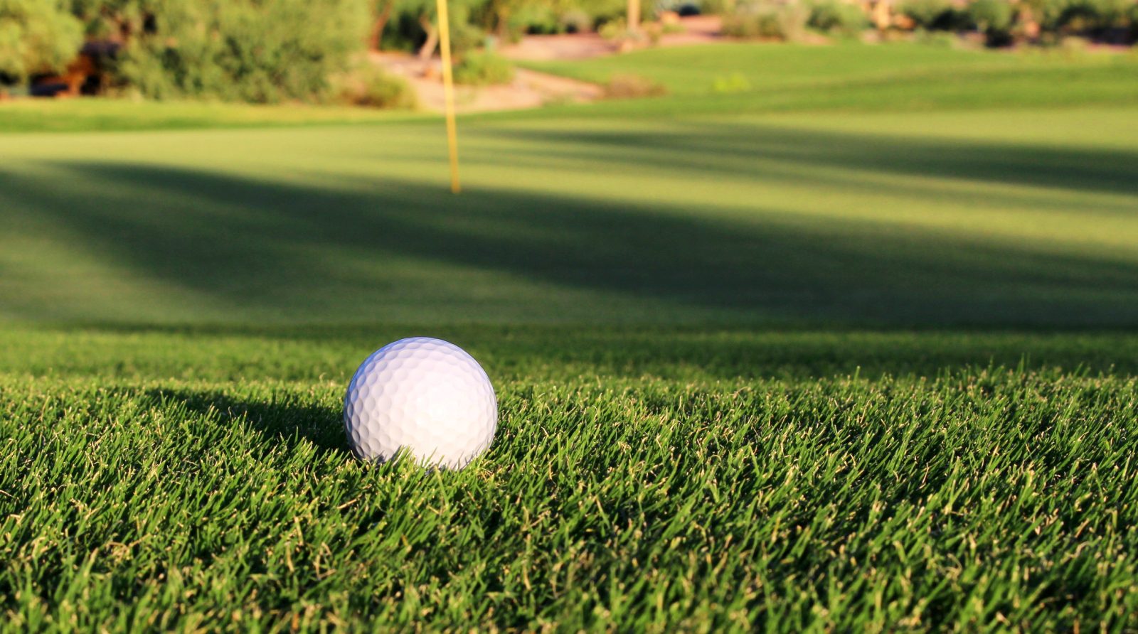 Facts From the Fairways – November 2025