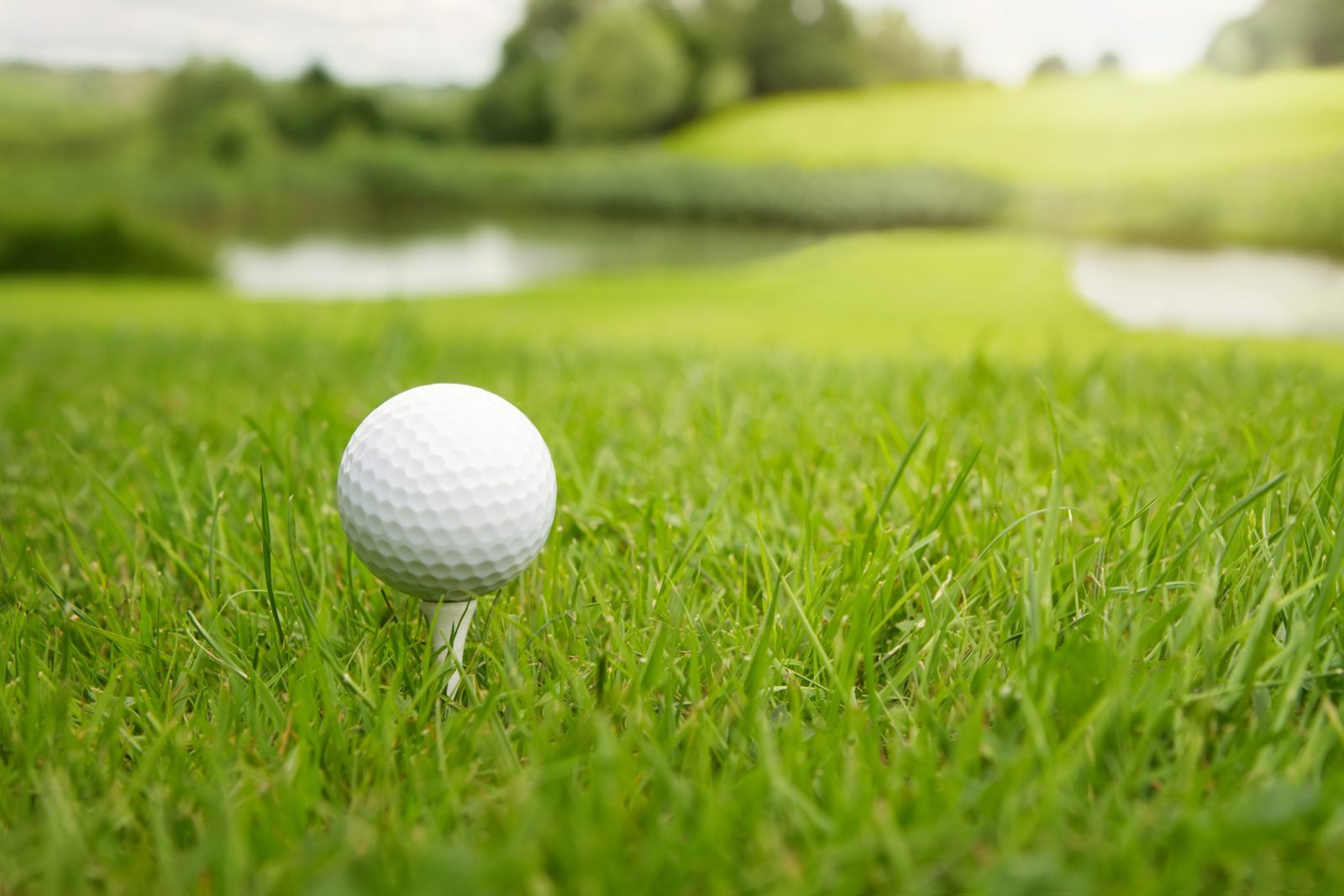 Facts From the Fairways – December 2025