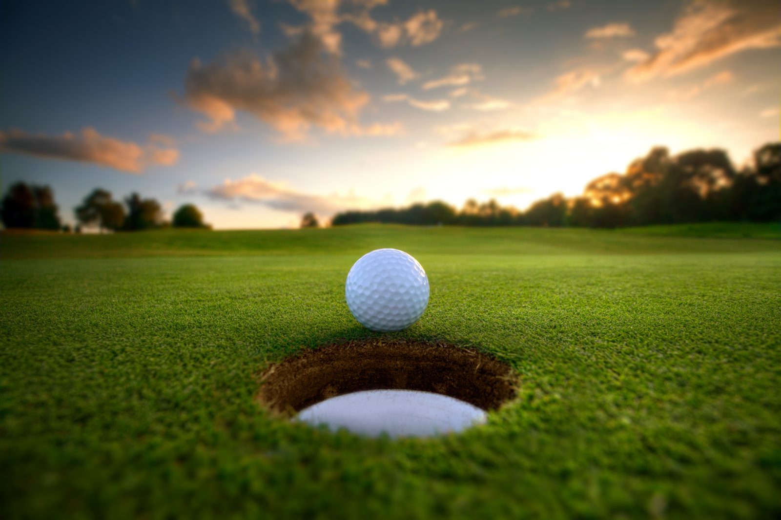 Facts From the Fairways – February 2026