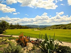 Hidden Municipal Gems: Public Courses That Play Like Private Clubs