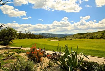 Hidden Municipal Gems: Public Courses That Play Like Private Clubs