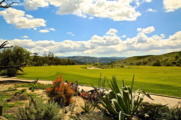 Hidden Municipal Gems: Public Courses That Play Like Private Clubs