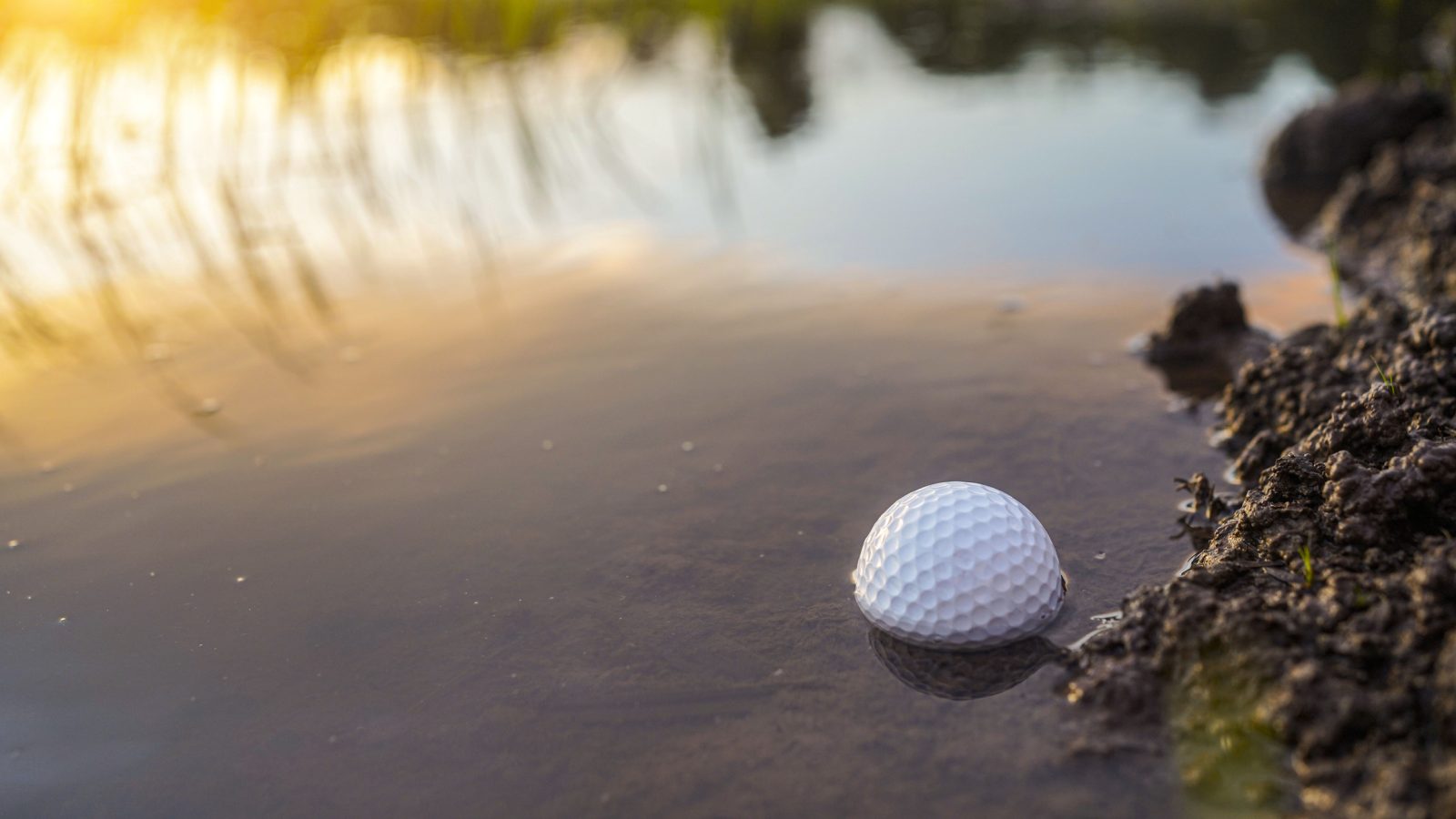 Inside the Underground World of Golf Ball Divers